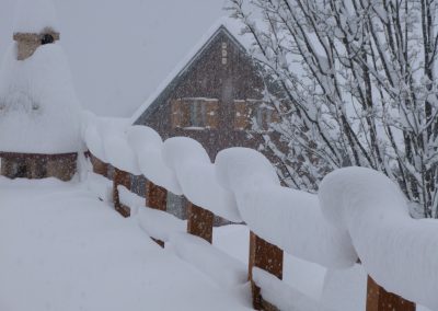 Sous la neige